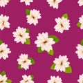 Spring cherry blossoms.ÃÂ Seamless pattern with JapaneseÃÂ sakura. Flowers on pink background. RomanticÃÂ Vector illustration. Royalty Free Stock Photo